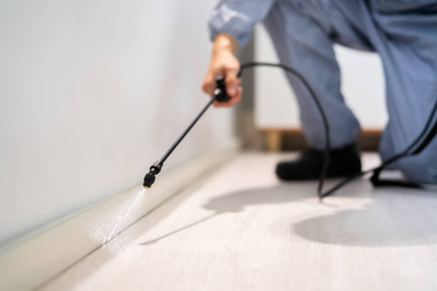 Licensed Pest Control service in New Castle, PA - Show Me Pest Control