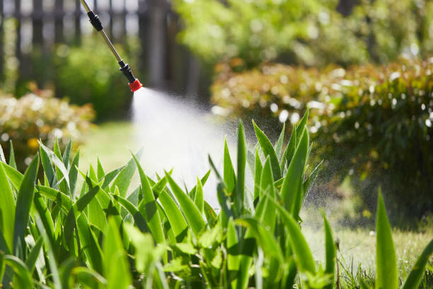 Tamper-Resistant Bait Stations for Rodents in New Castle